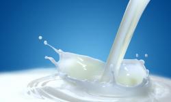 Portaria traz critérios para destinação de leite e derivados que descumprem padrões regulamentares