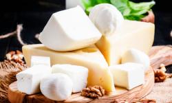 Conservação de queijos e produtos lácteos