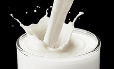 Sector lácteo apuesta por mejorar la calidad y productividad de la leche en Nicaragua
