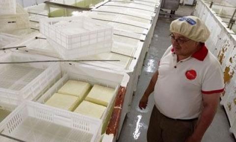 Aumentaron entre un 8% y 12% los precios de quesos en fábrica Argentina