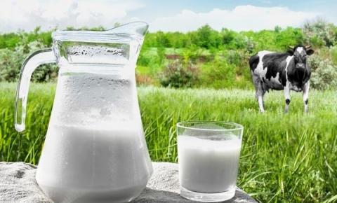 Los siete beneficios que tendría consumir leche de vaca según expertos del sector