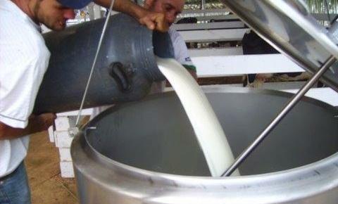 Captação em São Paulo cai pelo 3º mês ao produtor de leite sobre 7,7%, diz Cepea