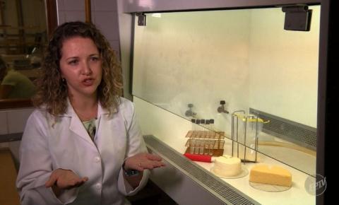 Unicamp descobre uso de ‘bactérias do bem’ para deixar queijo artesanal mais saudável