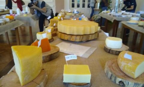 “Terruá”: a diversidade dos queijos mineiros