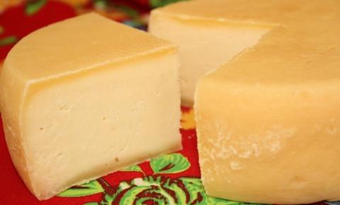 Leite de qualidade é o primeiro passo para produzir um bom queijo
